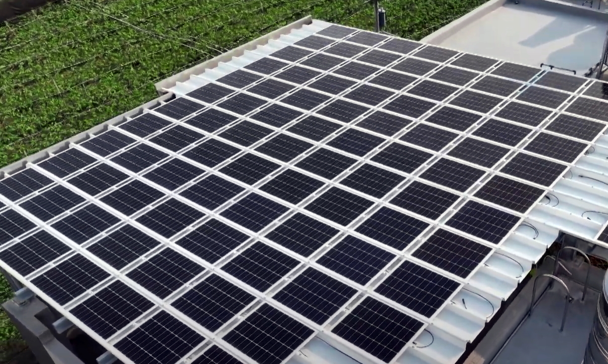 jinnian金年会SunSteel光电浪板升级双玻结构，以提升机械负载强度及气候耐候度，可广泛运用于多元场域