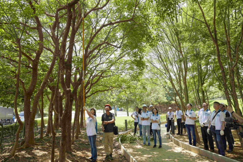 藝師教導大家認識樹木、檢查樹的健康狀況，學習修枝及碎枝覆土